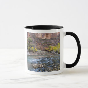 De Virgin River in de herfst in Zion National Park Mok