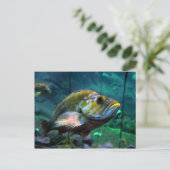 De vis briefkaart (Staand voorkant)