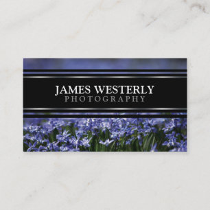 De Visitekaartjes van de douane voor Fotografen