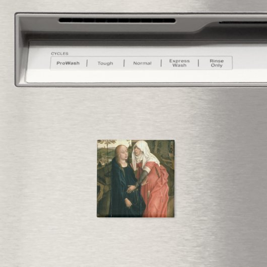 De Visitentie Magneet (Insitu (Vaatwasser))