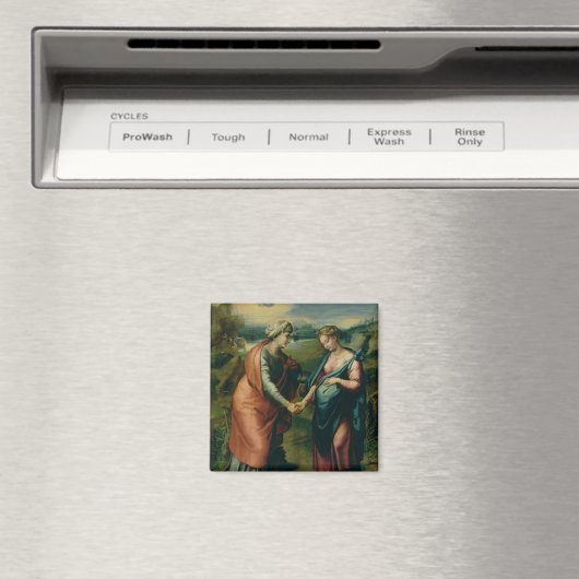 De Visitentie Magneet (Insitu (Vaatwasser))