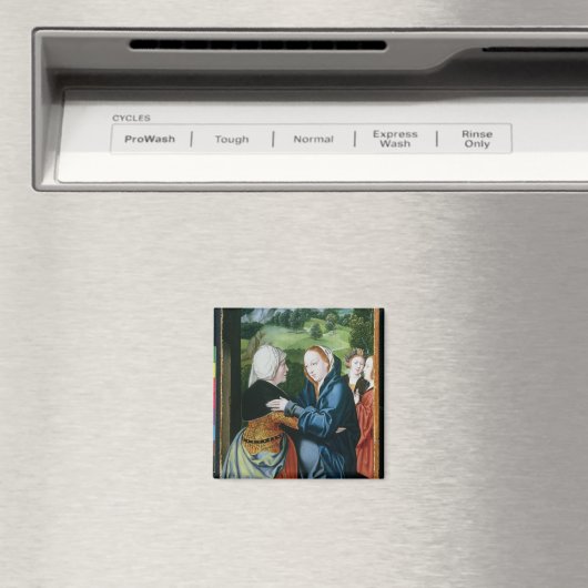 De Visitentie Magneet (Insitu (Vaatwasser))