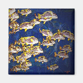 De vissen magneet (Voorkant)