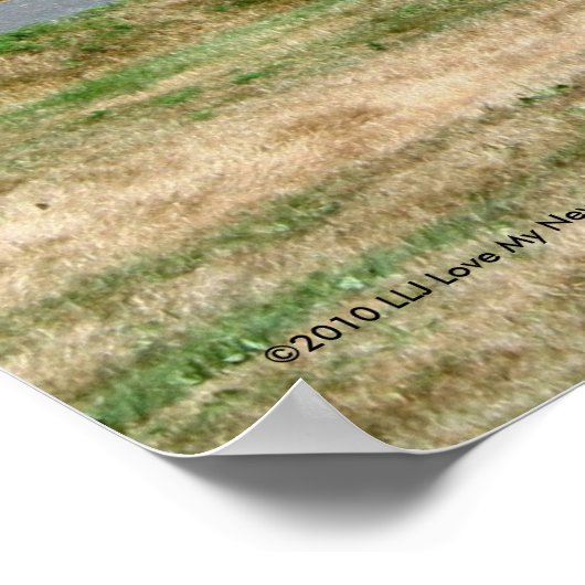 De Vissen Shanty Poster (Hoek)