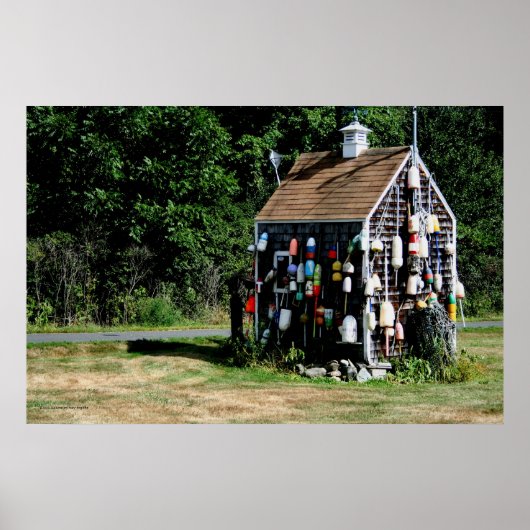 De Vissen Shanty Poster (Voorkant)