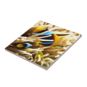 De Vissen van de clown Tegeltje (Zijkant)