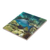 De Vissen van de ertsader Tegeltje (Zijkant)