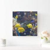 De Vissen van het koraalrif Vierkante Klok (Huis)