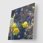 De Vissen van het koraalrif Vierkante Klok (Hoek)