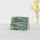 De Vissen van snoeken Kaart (Gele Bloem)