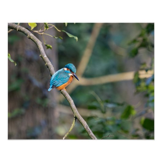 De visser perfect poster (Voorkant)