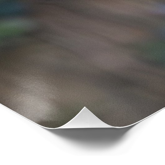 De visser perfect poster (Hoek)