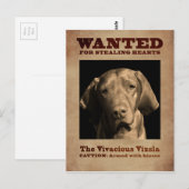 De Vivacious Vizsla Briefkaart (Voorkant / Achterkant)