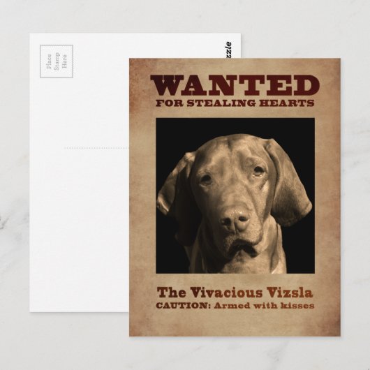 De Vivacious Vizsla Briefkaart (Voorkant / Achterkant)