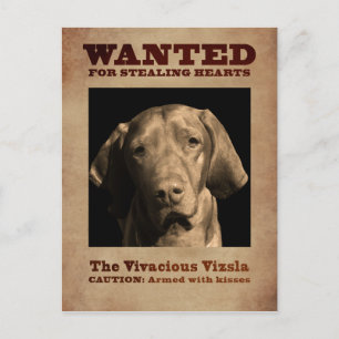De Vivacious Vizsla Briefkaart