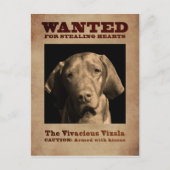 De Vivacious Vizsla Briefkaart (Voorkant)