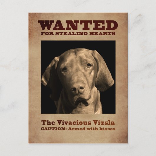 De Vivacious Vizsla Briefkaart (Voorkant)