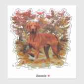 De Vizsla Sticker (Vel)
