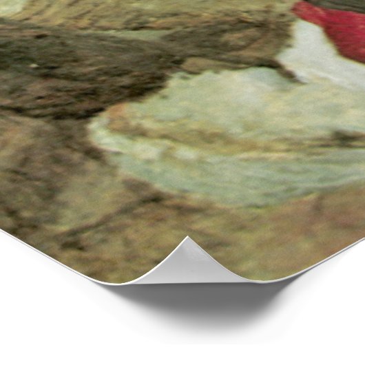 De vlag poster (Hoek)