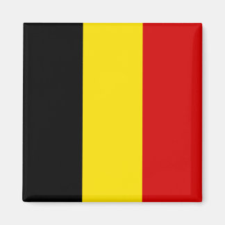 De vlag van België Magneet