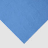 De vlag van Boston (Massachusetts) Tissuepapier (Detail)