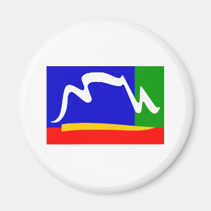 De Vlag van Cape Town van Zuid-Afrika Magneet