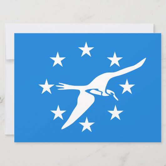 De vlag van Corpus Christi (Texas) Kaart (Voorkant)