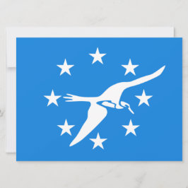 De vlag van Corpus Christi (Texas) Kaart