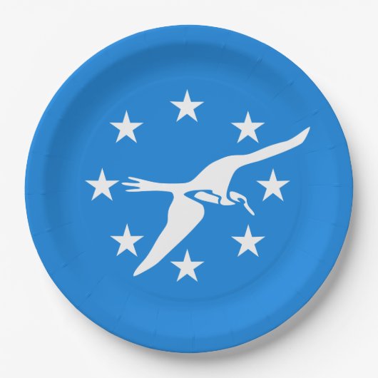 De vlag van Corpus Christi (Texas) Papieren Bordje (Voorkant)