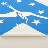 De vlag van Corpus Christi (Texas) Sherpa Deken (3/4)