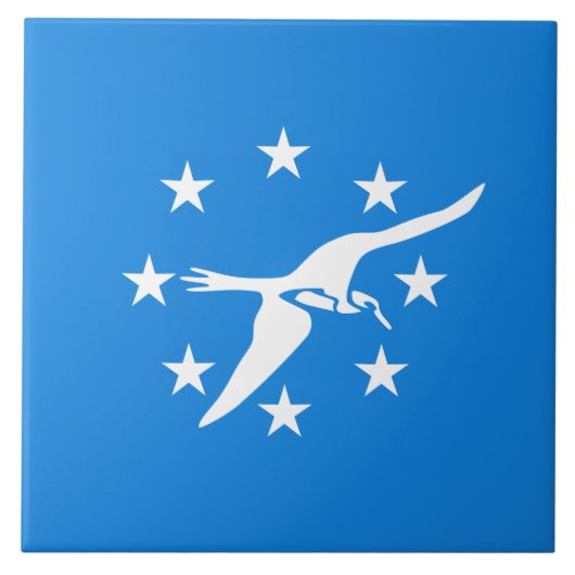 De vlag van Corpus Christi (Texas) Tegeltje (Voorkant)