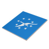 De vlag van Corpus Christi (Texas) Tegeltje (Zijkant)