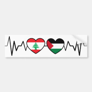 De vlag van de Palestijnse Eenheid in Libanon. Bumpersticker
