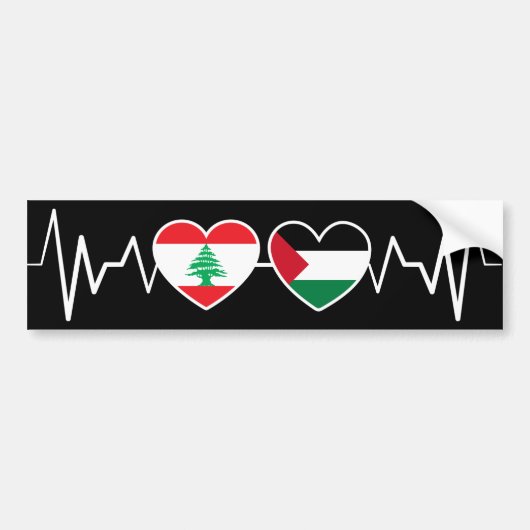De vlag van de Palestijnse Eenheid in Libanon. Bumpersticker (Voorkant)
