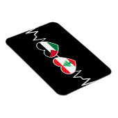 De vlag van de Palestijnse Eenheid in Libanon. Magneet (Rechterzijde)