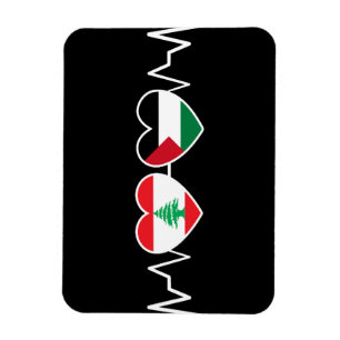De vlag van de Palestijnse Eenheid in Libanon. Magneet