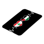 De vlag van de Palestijnse Eenheid in Libanon. Magneet (Linkerzijde)