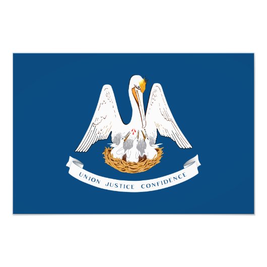 de vlag van de staat Louisiana Foto Afdruk (Voorkant)