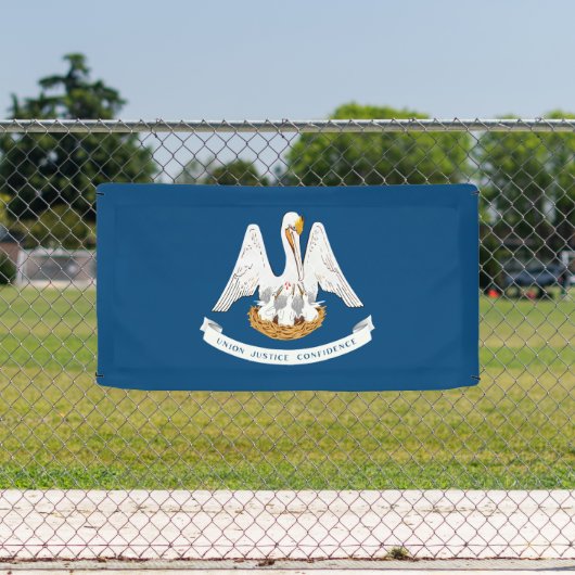 de vlag van de staat Louisiana Spandoek (Insitu)