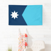 De vlag van de staat New Minnesota Spandoek (Insitu)