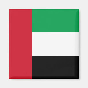 De vlag van de Verenigde Arabische Emiraten Magneet
