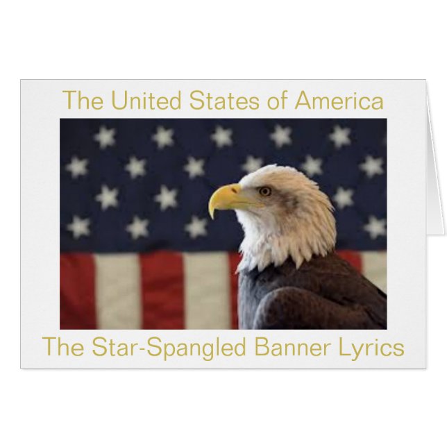 De vlag van de Verenigde Staten van Amerika (Voorkant Horizontaal)