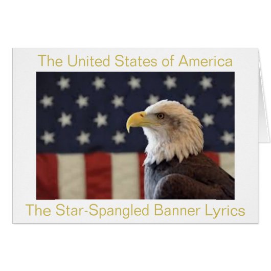 De vlag van de Verenigde Staten van Amerika (Voorkant Horizontaal)