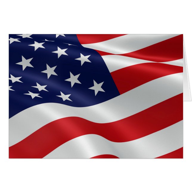 De vlag van de Verenigde Staten van Amerika (Voorkant Horizontaal)