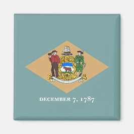 De vlag van Delaware (DE, VS) Magneet
