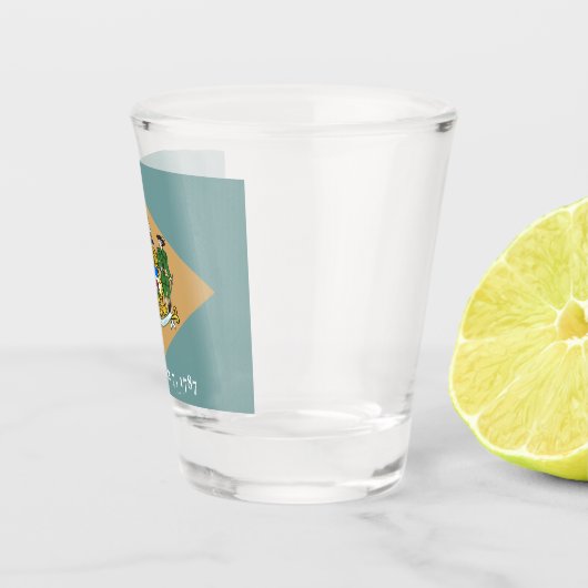 De vlag van Delaware (DE, VS) Shot Glas (Rechts)