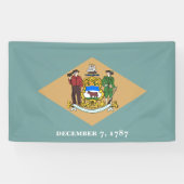 De vlag van Delaware (DE, VS) Spandoek (Horizontaal)