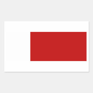 De vlag van Dubai. UAE/u.a.e. Verenigde Arabische Rechthoekige Sticker