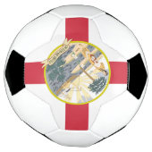 De vlag van Florida: Sunshine State of Floridians Voetbal (Gedraaid)