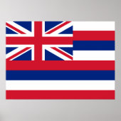 De vlag van Hawaii Poster (Voorkant)